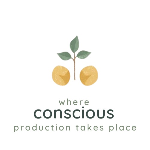 whatsapp image 2026 01 21 at 17.13.47